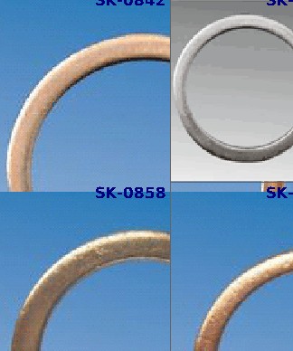 SK-0842 Шайбы